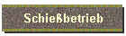 Schiebetrieb